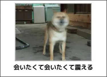 名古屋に帰る前にお前に会いたいんだぜ！