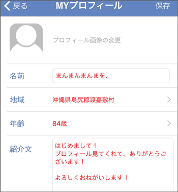 使ったプロフィール