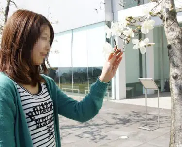 付き合いはじめの楽しさは異常