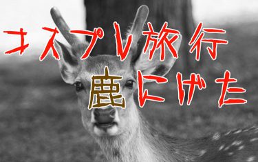 鹿