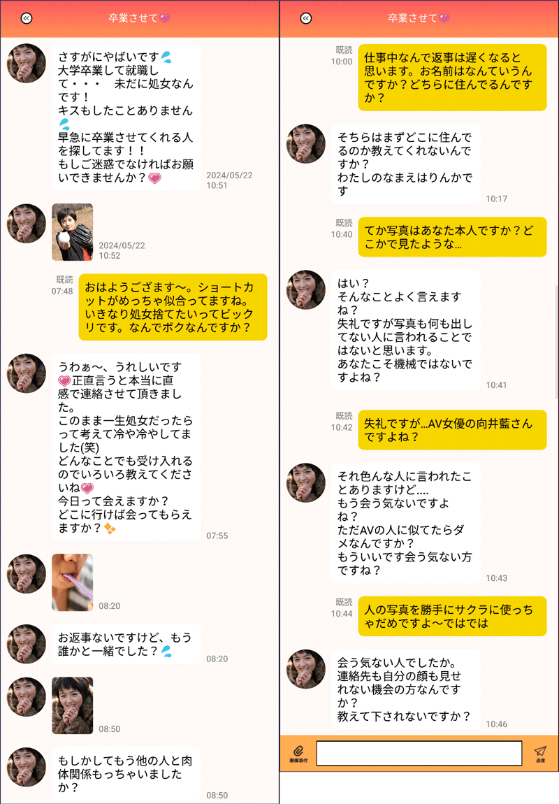 向井藍さんのサクラ