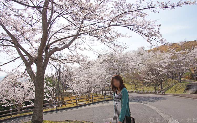 道の駅霧島の桜と彼女