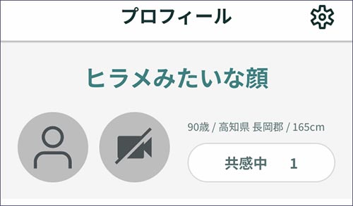 ジェネラブで使ったプロフィール