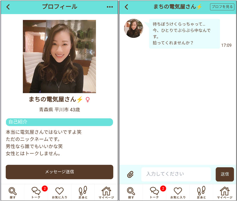 タダマッチサクラの「まちの電気屋さん」