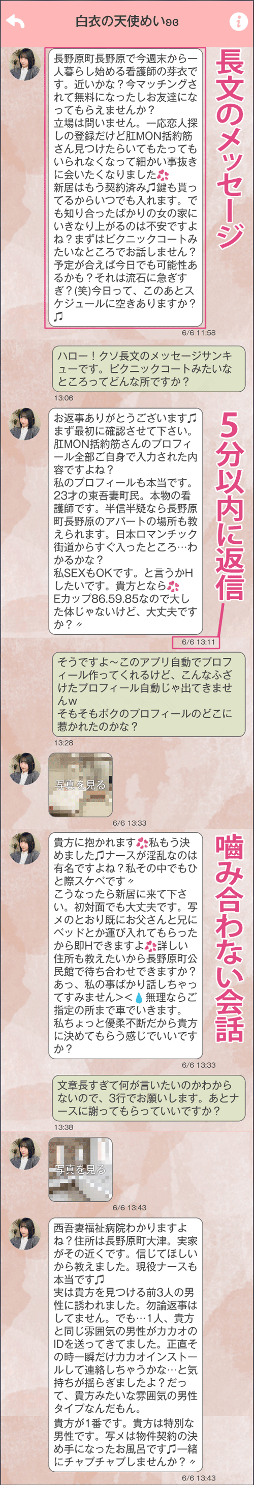ツナガルのサクラのやりとり実例画像
