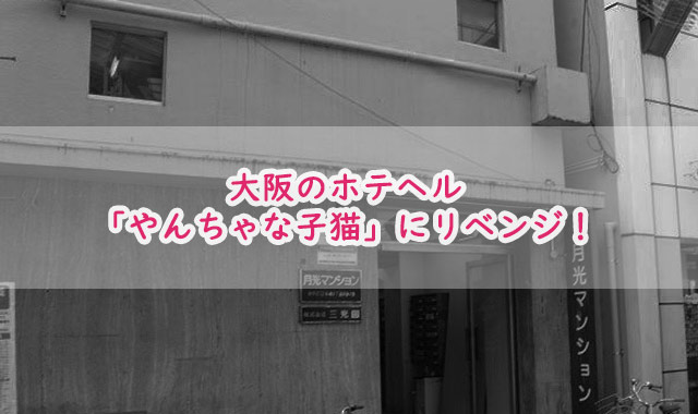 やんちゃな子猫日本橋店
